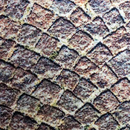 Hotel Art Dalgas, Bw Signature Collection 3*