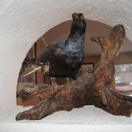 Hotel Art Dalgas, Bw Signature Collection Brande